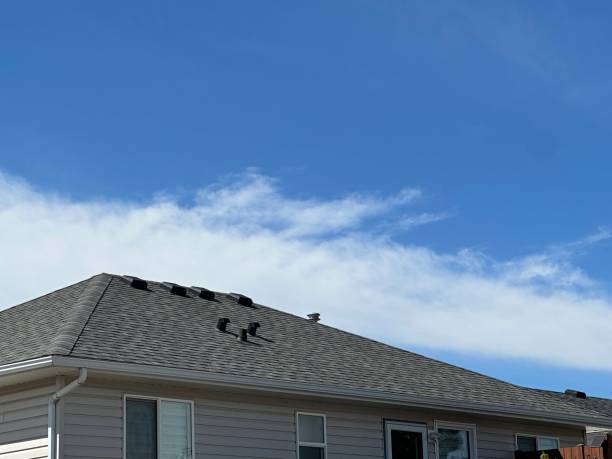 Fast & Reliable Emergency Roof Repairs in Brainerd, MN